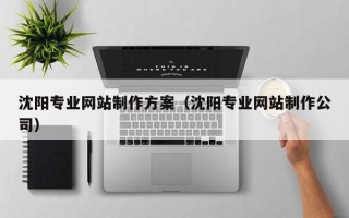 大同沈阳专业网站制作方案（沈阳专业网站制作公司）